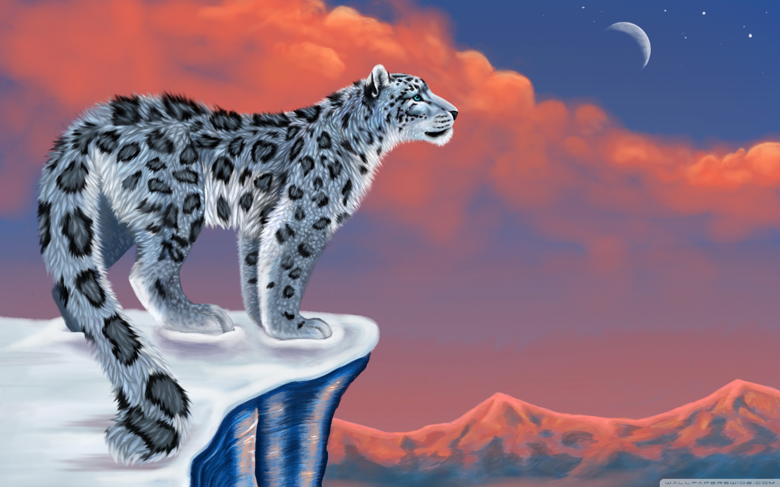 Snow Leopard Cub Stock Illustrations – 100 Snow Leopard Cub Stock  Illustrations, Vectors & Clipart - Dreamstime