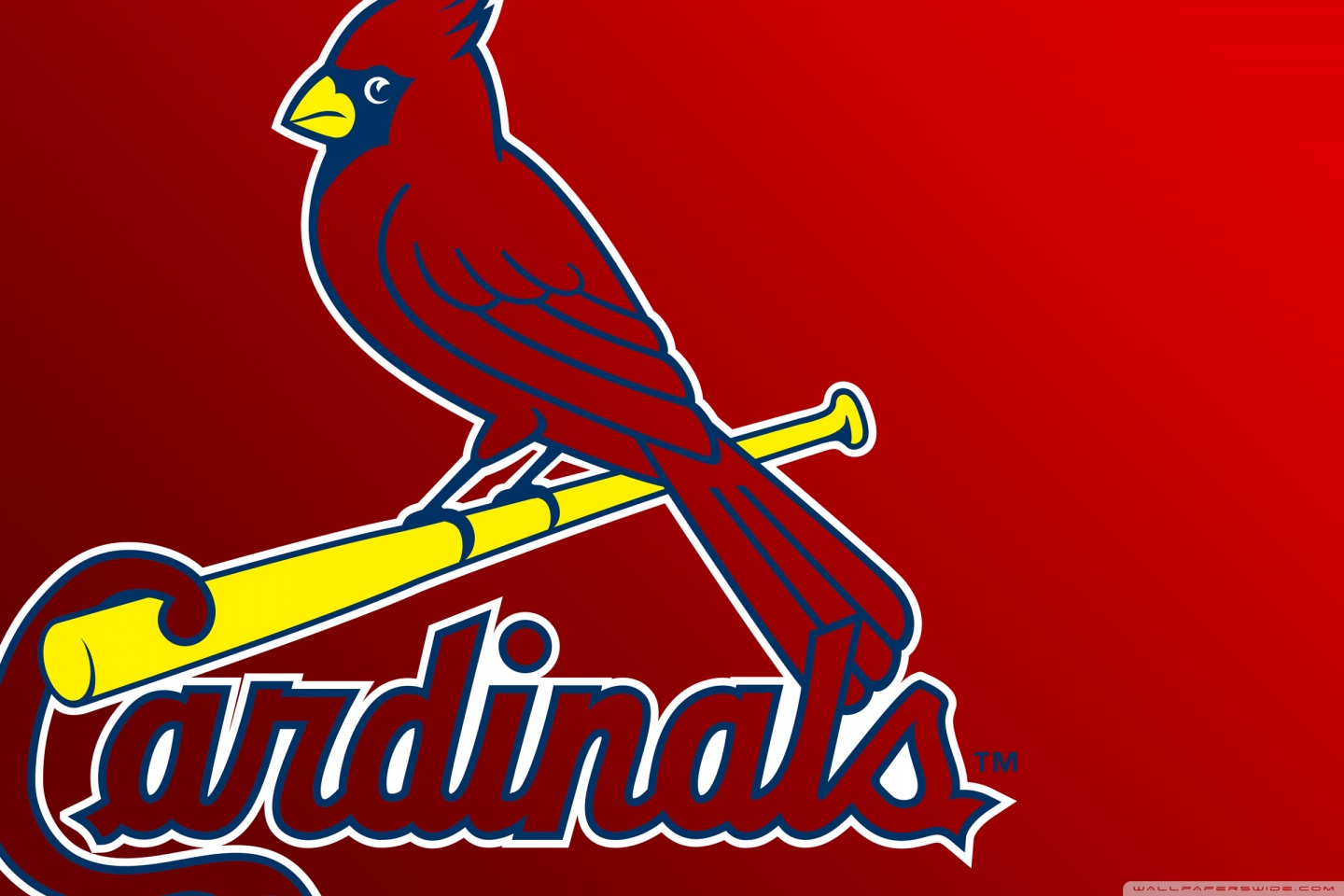 Download St Louis Cardinals Two Red Birds Wallpaper