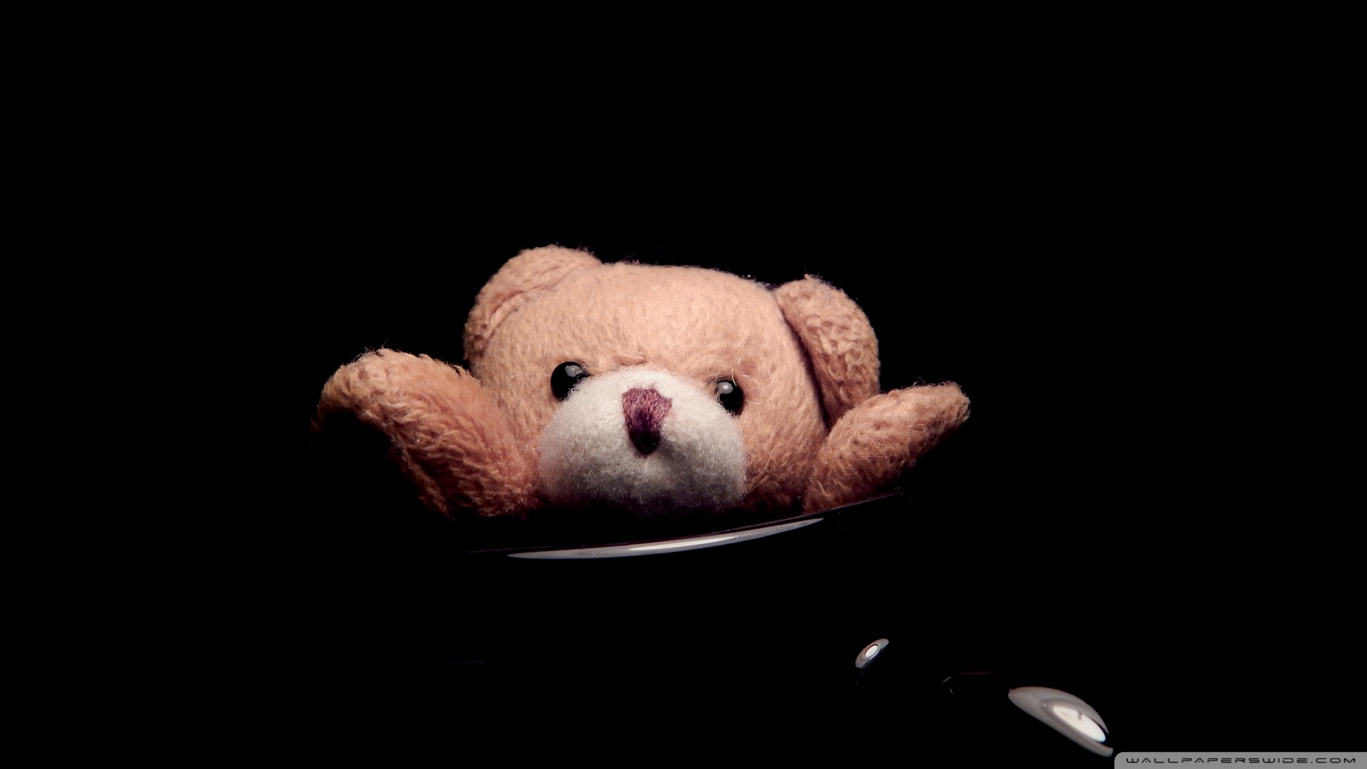 Teddy wallpaper full hd 2025