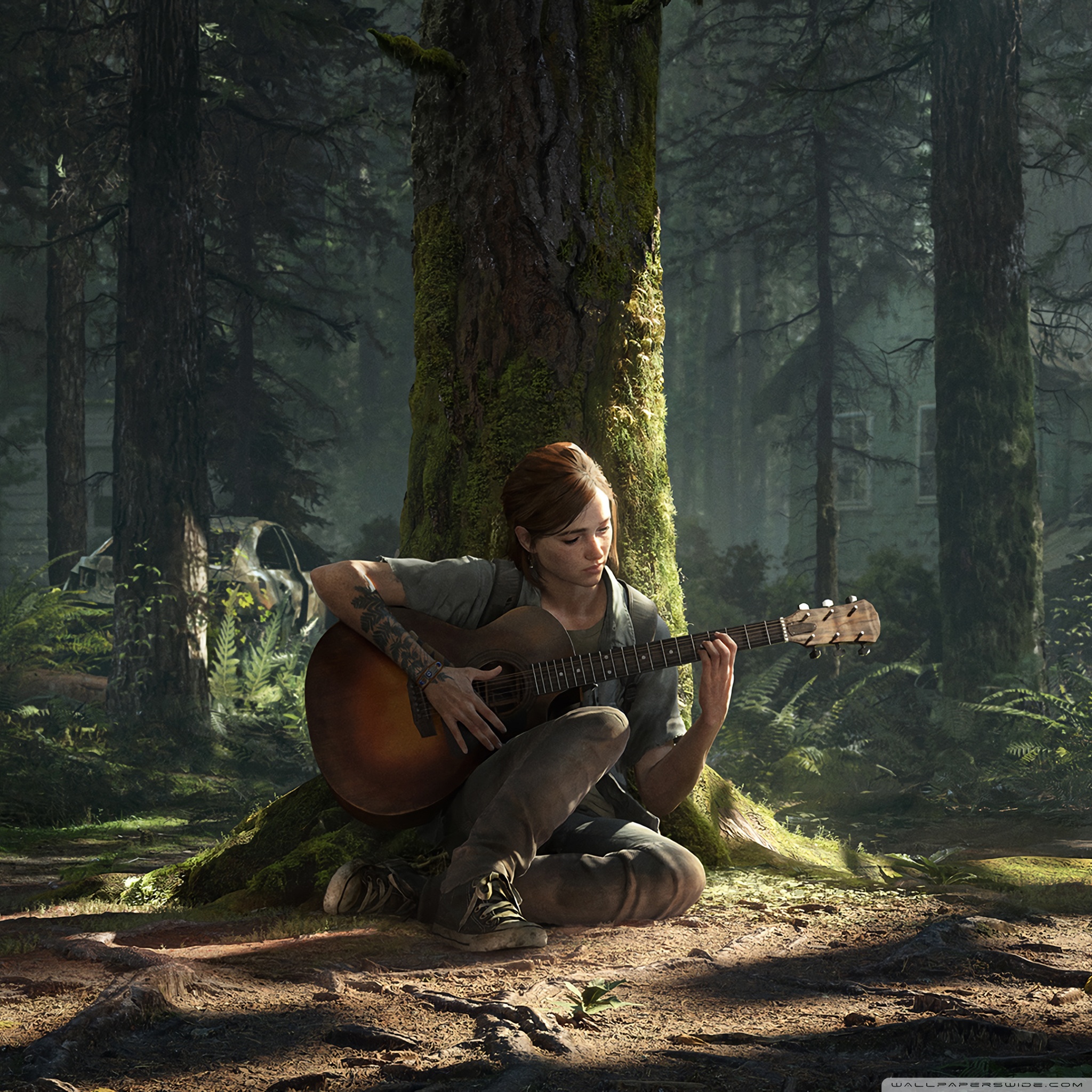 The Last of Us Part II Ultra HD Desktop Background Wallpaper for 4K UHD TV  : Widescreen & UltraWide Desktop & Laptop : Tablet : Smartphone