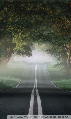The Most Beautiful Road in The World Ultra HD Desktop Background ...