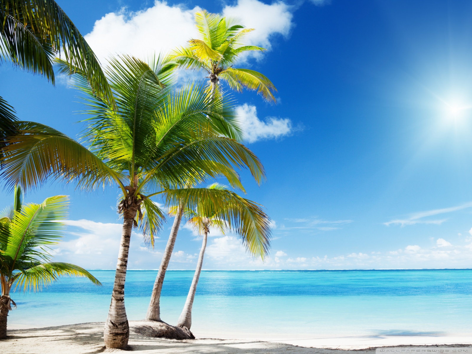 Tropical Beach Paradise Ultra HD Desktop Background Wallpaper for 4K ...