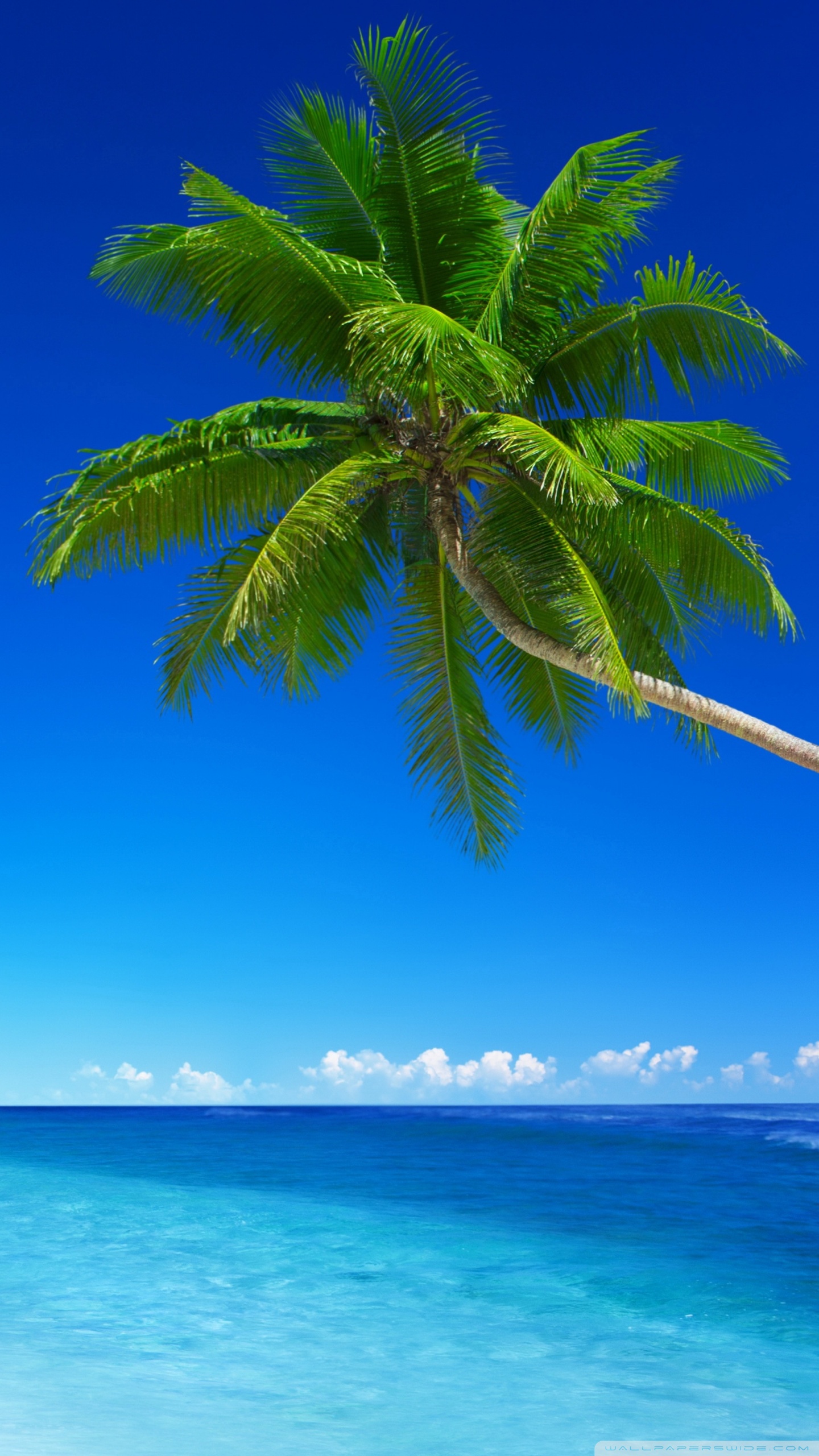 Tropical Beach Paradise 5K Ultra HD Desktop Background Wallpaper for 4K ...
