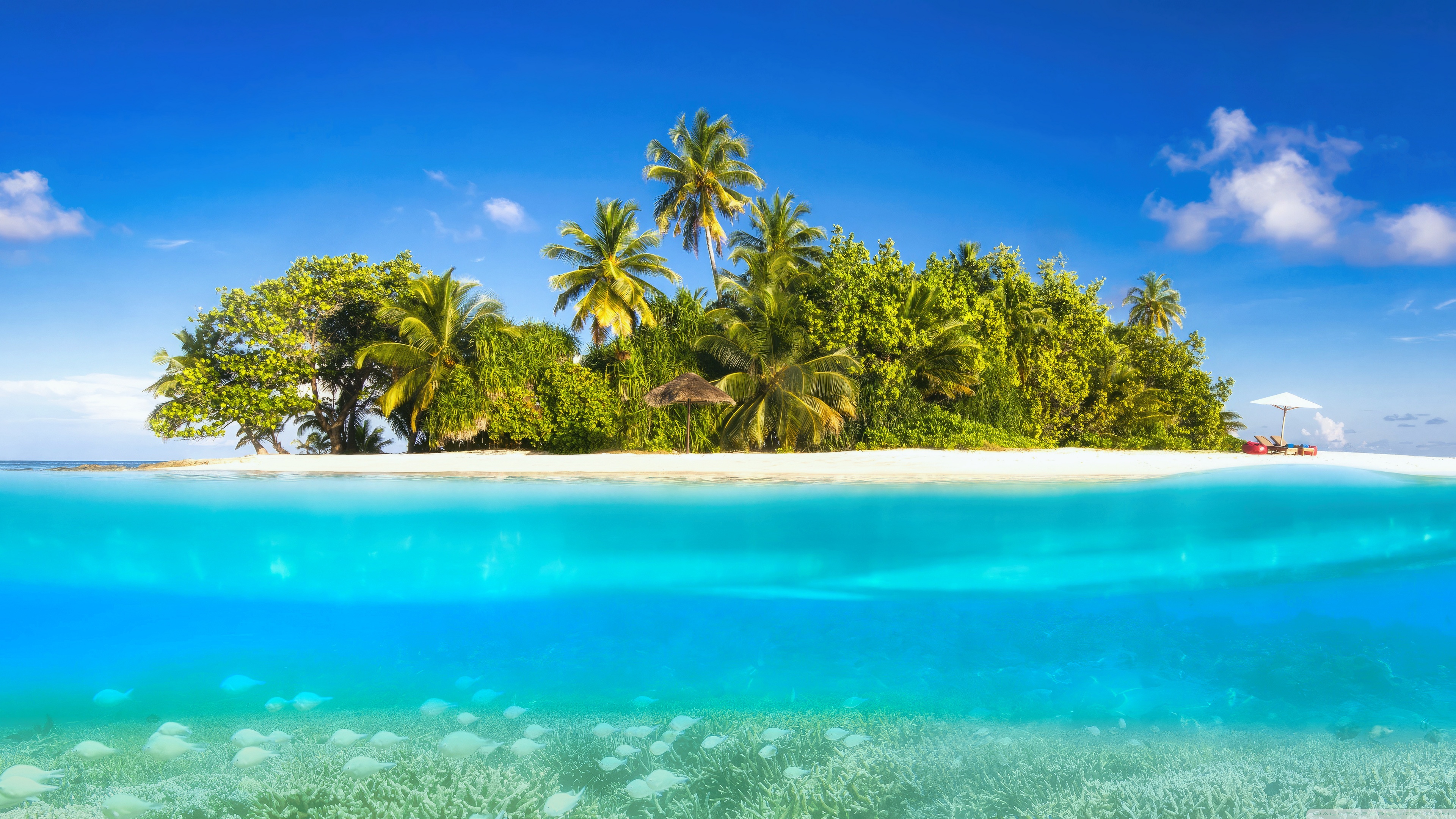Tropical, Island, Vacation, Holiday, Travel, Coral Reef, Crystal Clear