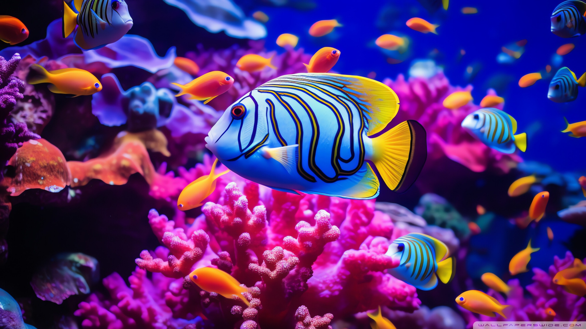 1242x2688 5dcecbc2bb5a0d909b39accbb0a94750 - jpg fish - daftsex hd