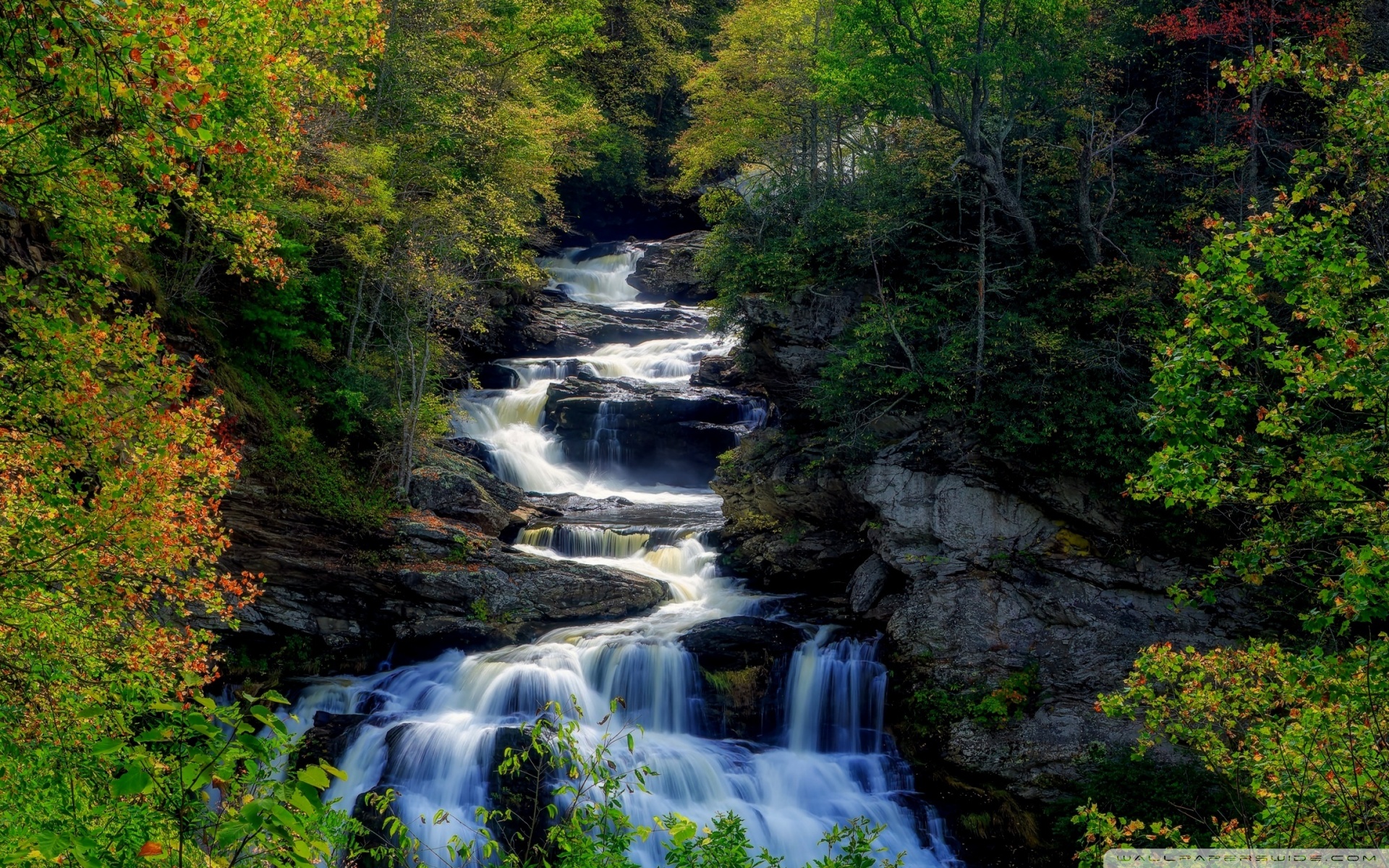 Waterfall Forest Nature 4K UHD Wallpaper For UltraHD Desktop And TV 