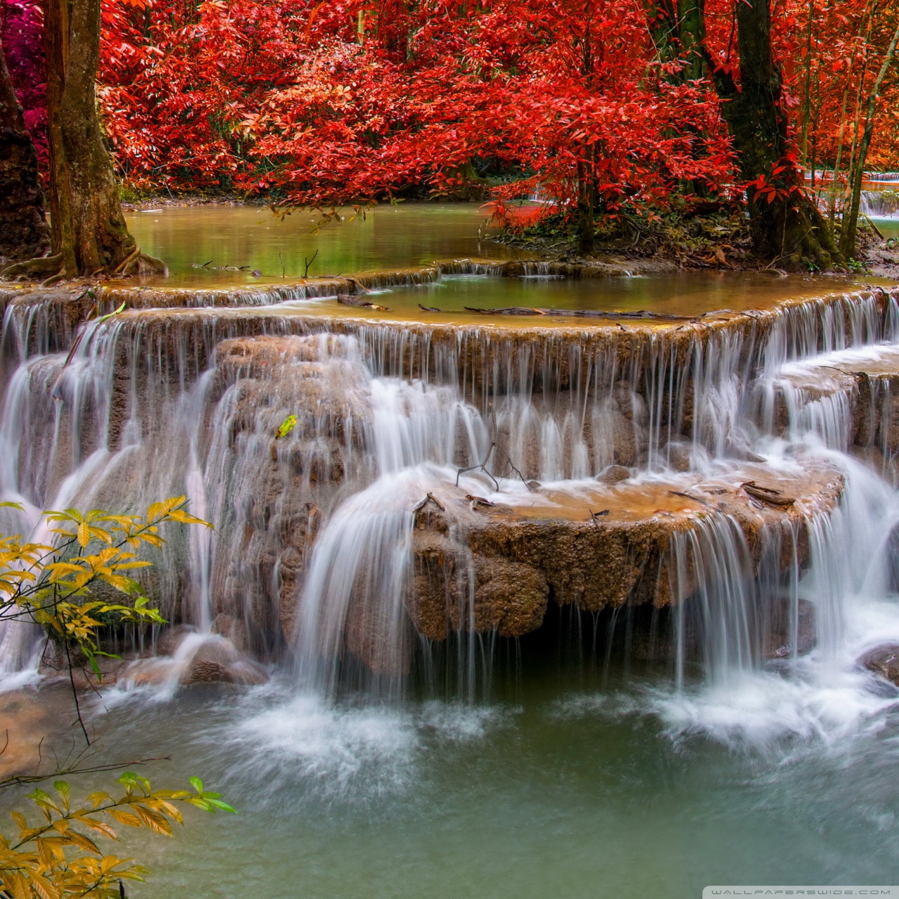 Waterfall, Red Trees Ultra HD Desktop Background Wallpaper for 4K UHD ...