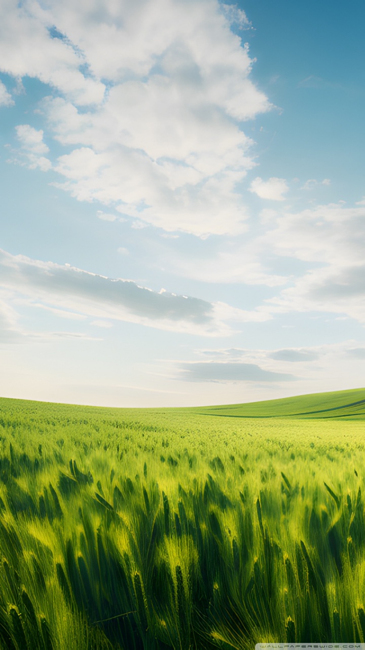 Windows XP New Landscape Background Ultra HD Desktop Background Wallpaper  for & Triple : Tablet : Smartphone