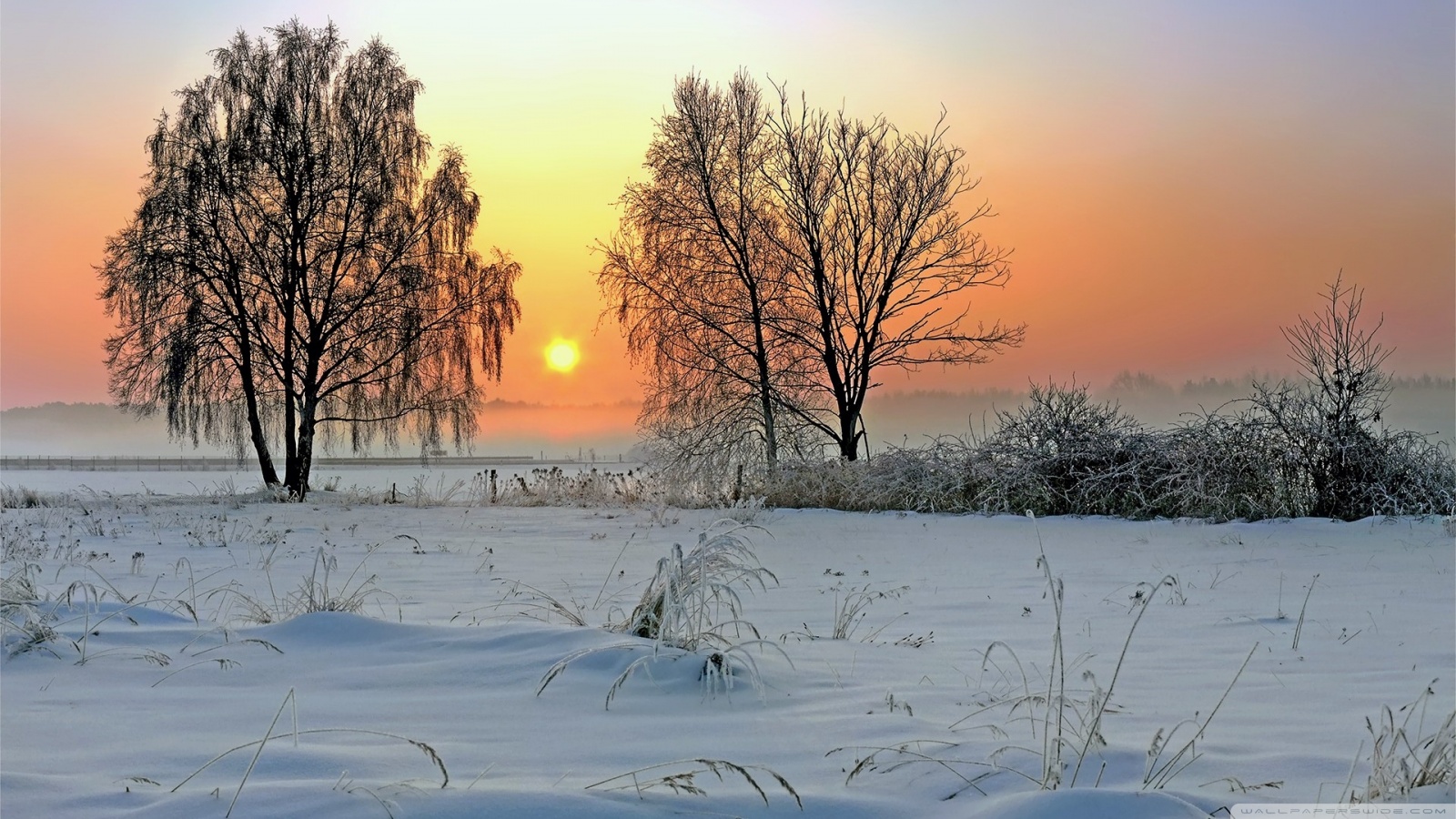 winter sunrise wallpaper