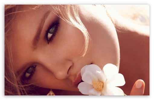 exotic_beauty-t2.jpg