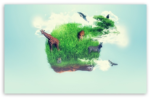 wildlife_2-t2.jpg